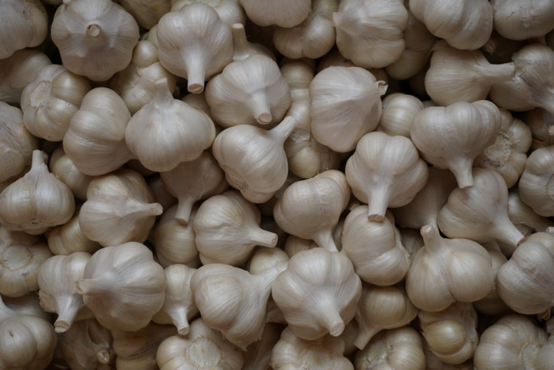 有機にんにく（岩手）